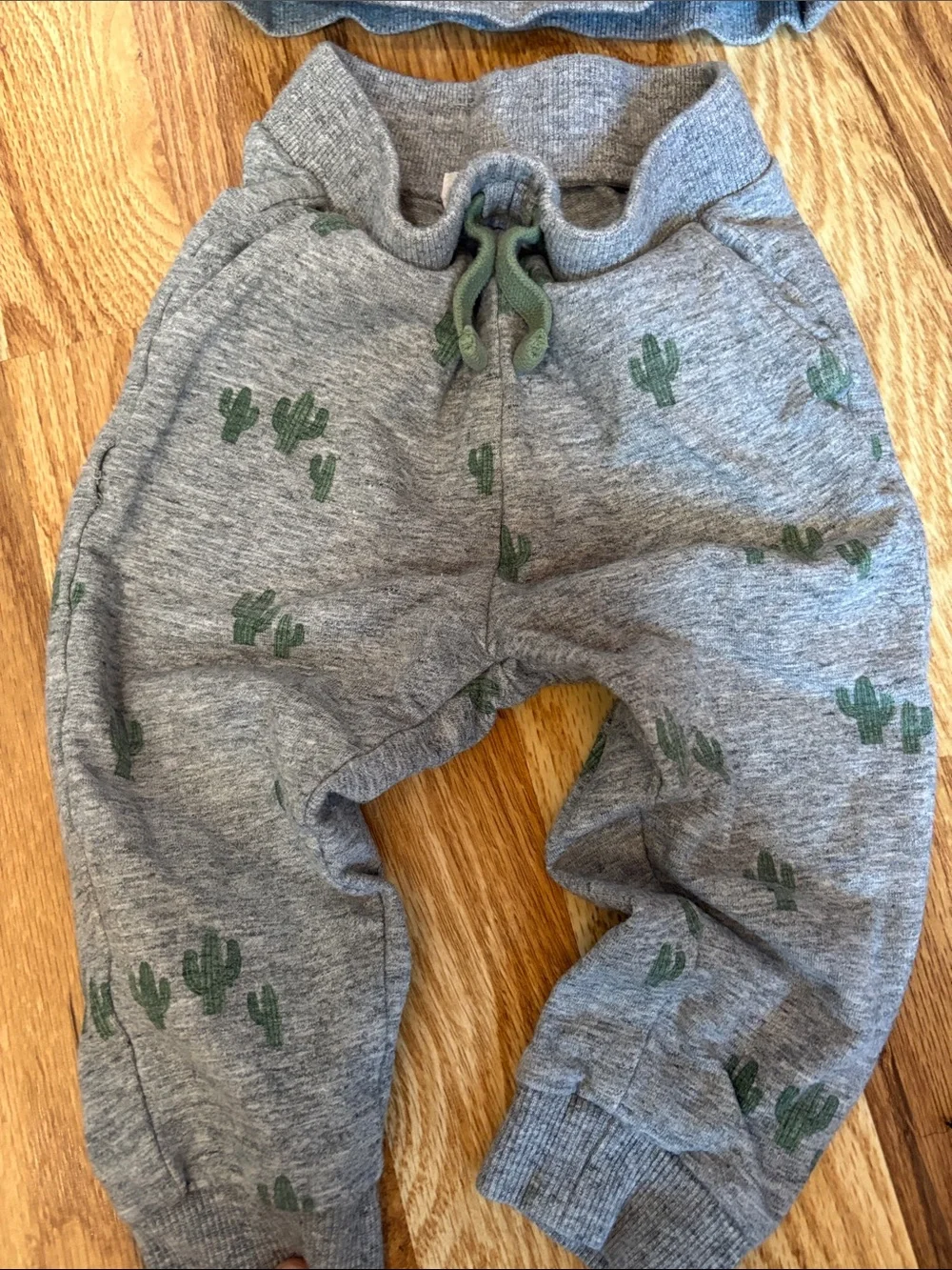 Miles the label set  12m Gray Cactus Sweatshirt & Jogger